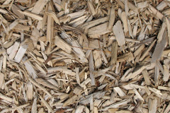 biomass boilers Ascog